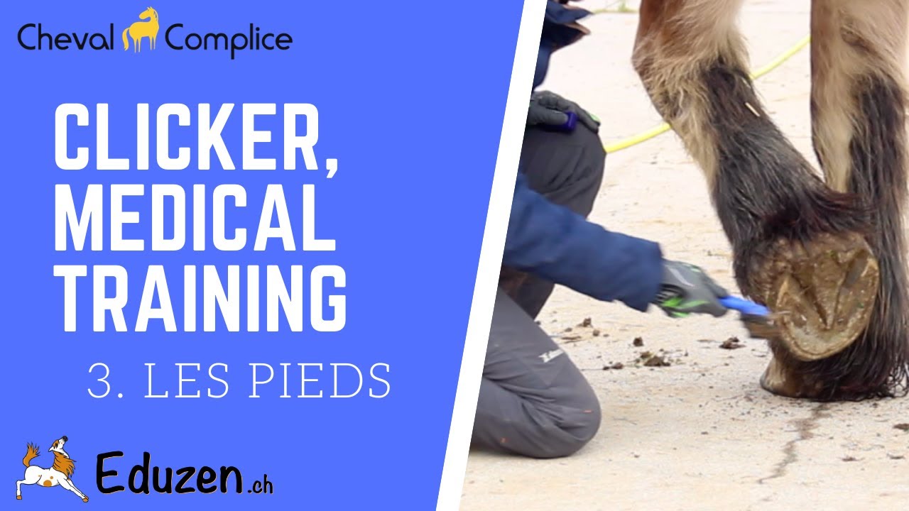 CLICKER CHEVAUX #3 - LES PIEDS