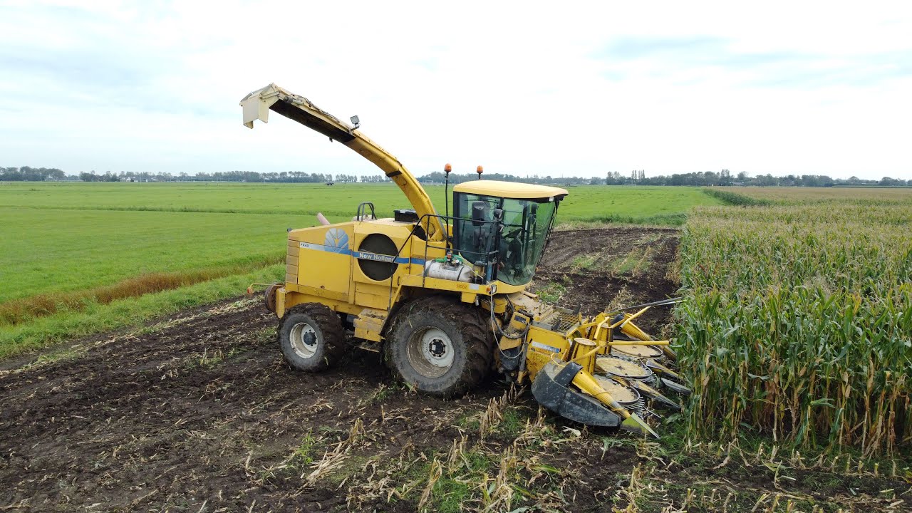 mais hakselen Limmen | New Holland fx40 + Same + Deutz + Steyr | 2023