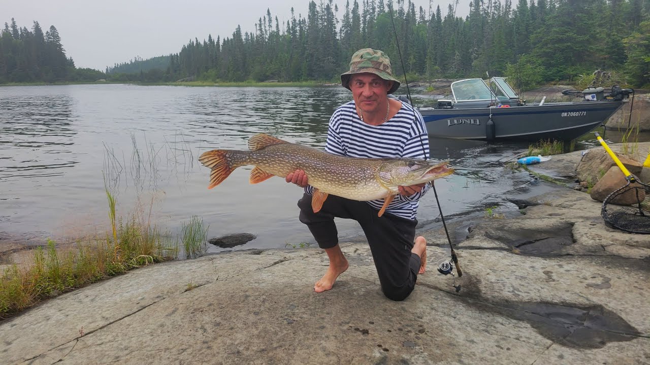 Wedkowanie w Kanadzie - Lake Nipigon 2025 part 1