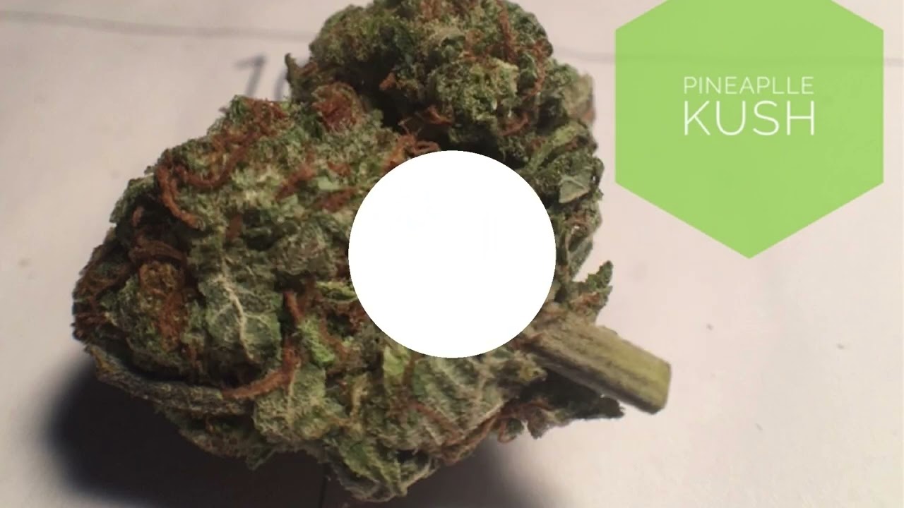Winter With These Exotic Strains