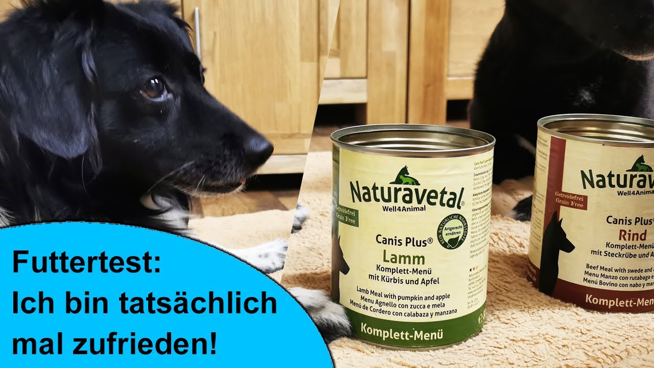 Gutes  Hundefutter gesucht? Naturavetal ist einen Blick wert! Lamm Komplet Menü im Futtermittel-Test