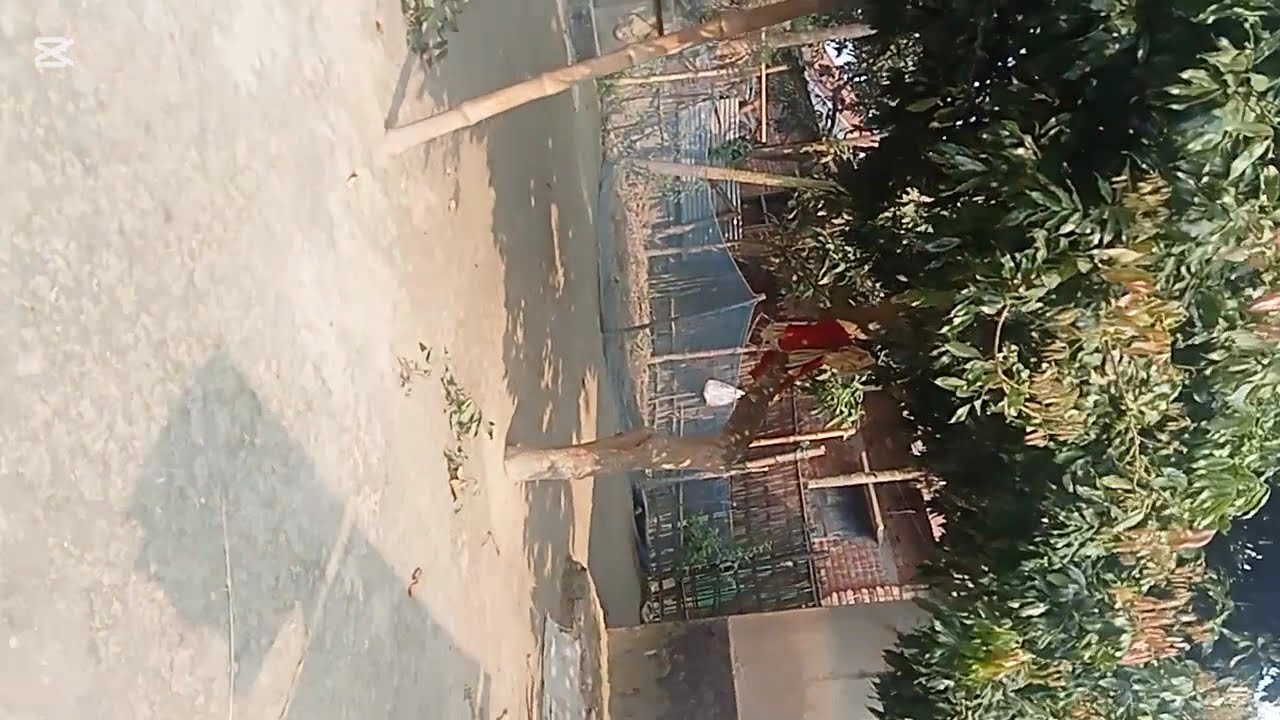 বউ | 4 Bou | Bangla Funny Video | Sofik & Riyaj | Comedy Natok | Palli Gram TV Latest Video 2025  