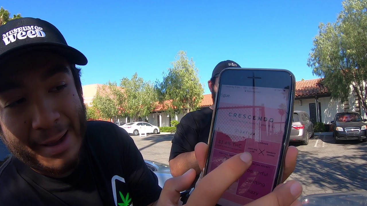 THC DESIGN &ldquo;CRESCENDO&rdquo; FLOWER REVIEW & REACTION!