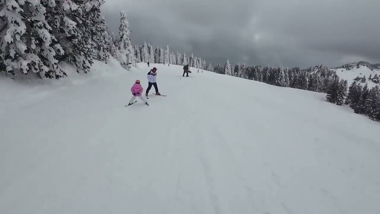 Uludağ cennetkaya pisti iniş