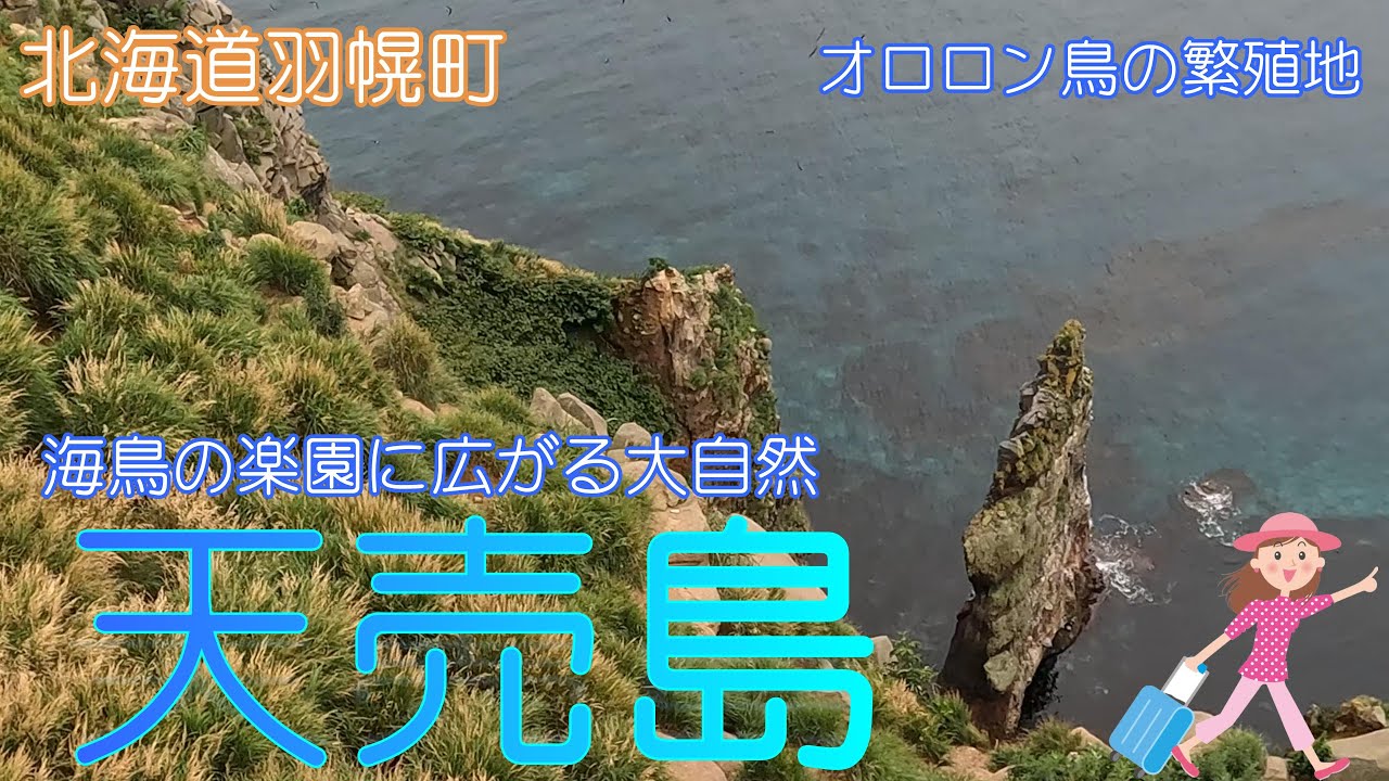 【北海道羽幌町】天売島で自然の中をサイクリングしました【オンコの島】
