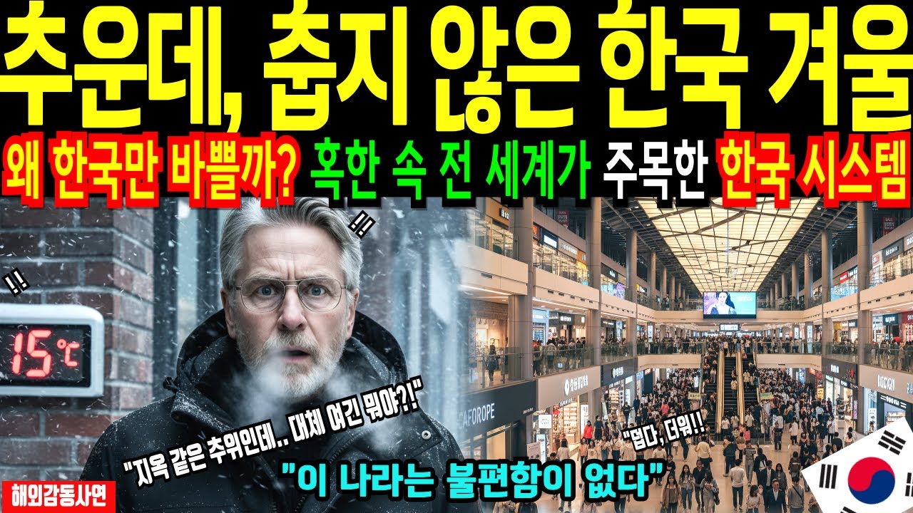 [해외감동사연]스웨덴 전략가도 놀란 한국 겨울의 비밀 (유럽은 절대 흉내 못 내는 기적)