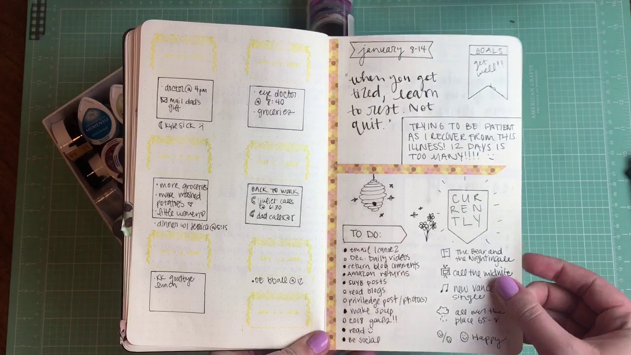 My Bullet Journal 2017 & 2018 // Plans & Progress