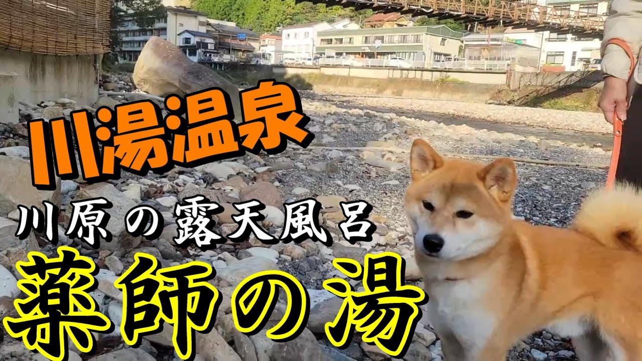 【愛犬と行く川湯温泉の旅２日目】和歌山県川湯温泉「大村屋」～南紀白浜「グラスボート」～紀美野町ベーカリーテラス「ドーシェル」