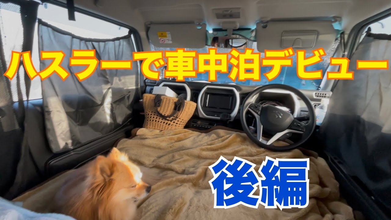 ハスラーで【ポメチワ】きぃ太🐶と車中泊デビュー🚗後編