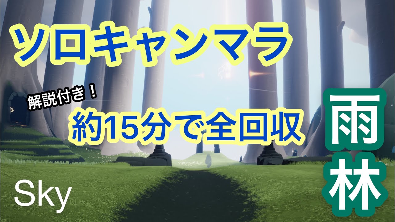 【Sky】ソロでキャンマラ！約15分で全回収【雨林編】