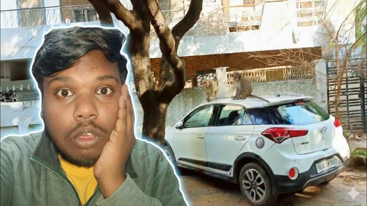 Car Clean Karte Waqt Achanak Aa Gaya Bandar 😱🐒DAY=31