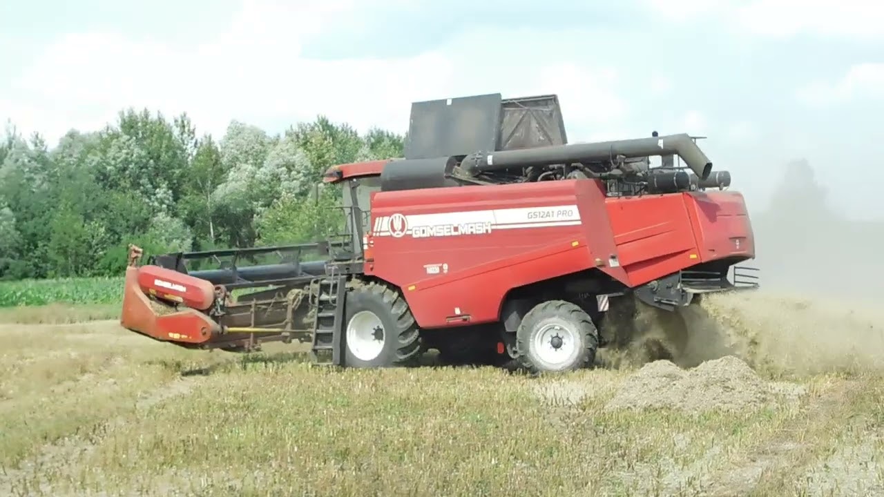 Урожай озимого рапса 2025: GOMSELMASH GS12A1PRO на уборке (часть 2)