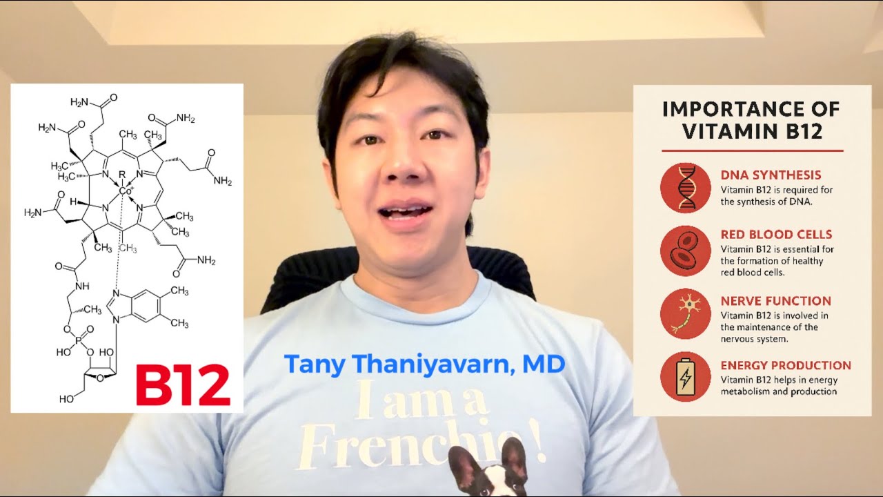 รู้จักวิตามิน B12 แบบเจาะลึกทุกแง่มุม: สมอง เส้นประสาท เลือด และพลังงาน!