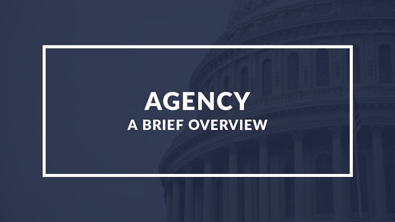 Government Agencies: An Overview