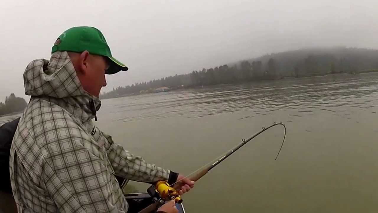Vlog - Oct. 14, 2012