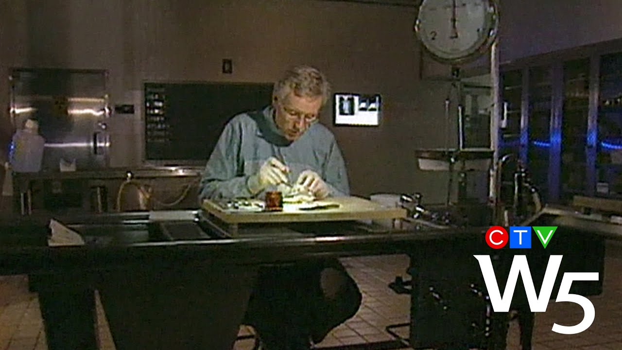 Wrongly imprisoned Canadians and the flawed testimony of Dr. Charles Smith | W5 VAULT
