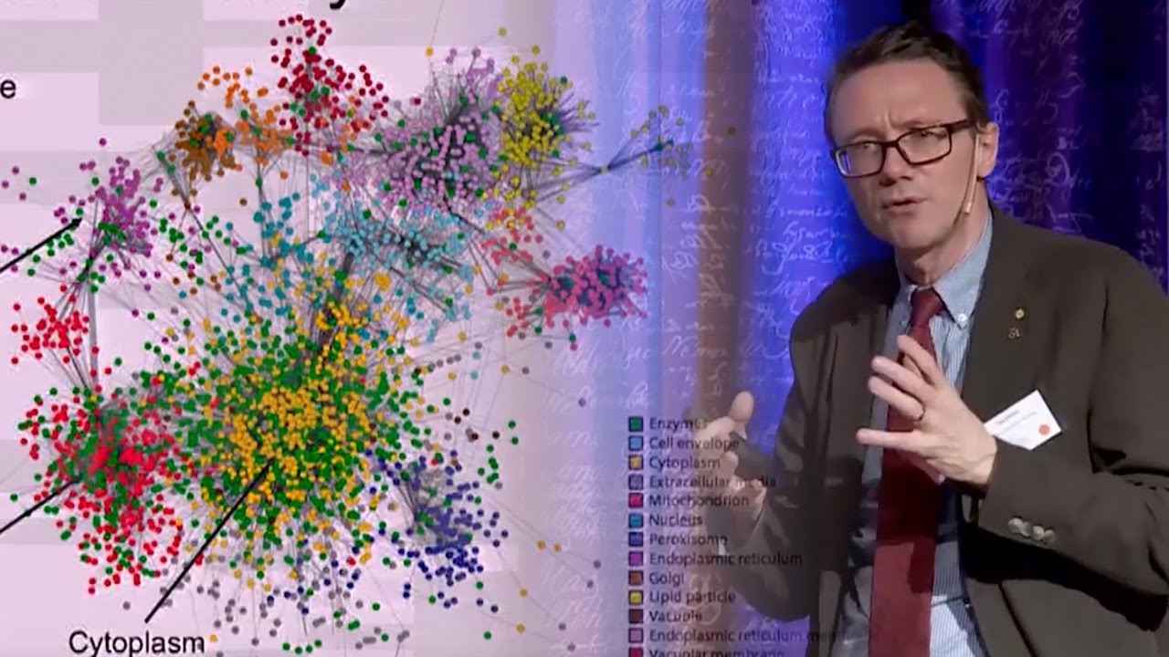 Jens B Nielsen: From yeast to human