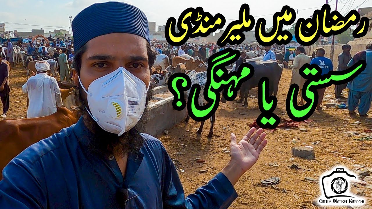 Malir Mandi PRICE Update in Ramadan | Cattle Market Karachi | Malir Cow Mandi 2021 | Bakra Eid 2021