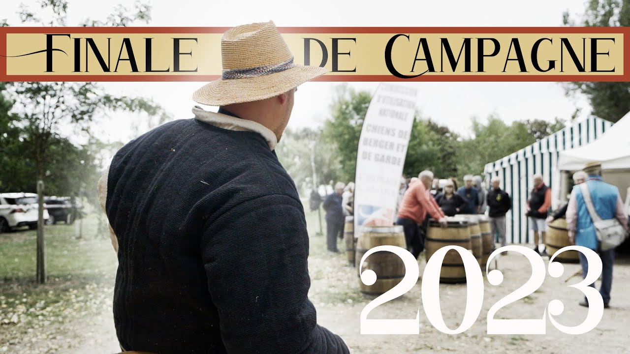 Finale de Travail Pratique en Campagne 2023