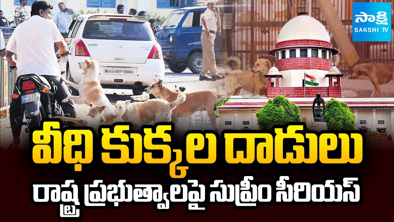 మేనకా గాంధీపై సుప్రీంకోర్టు ఆగ్రహం || Suprem Court Serious on Stray Dog ​​Attacks || 