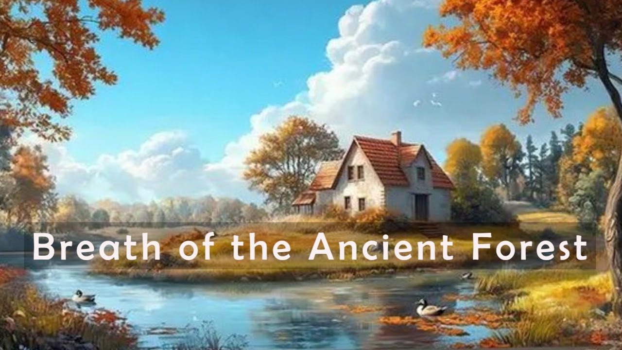 1 Hour Meditation Music for Inner Peace “Breath of the Ancient Forest”