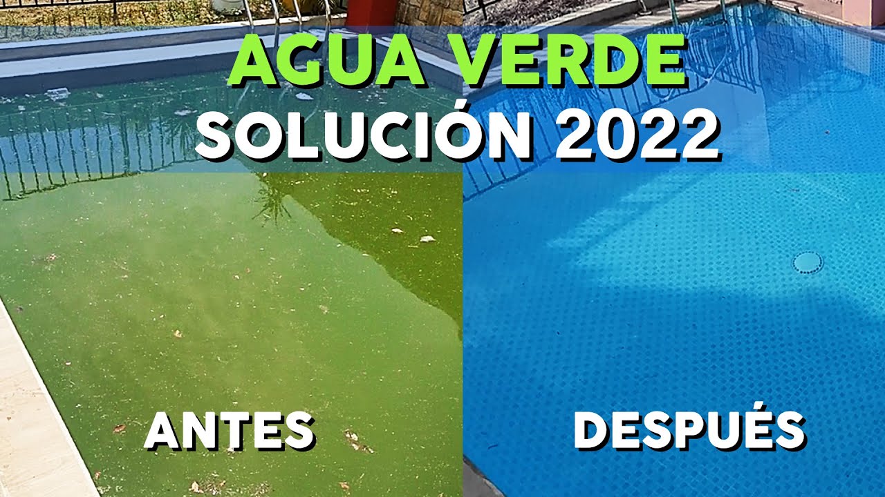 AGUA VERDE  |  TRATAMIENTO 2024  |  LA MANERA M&Aacute;S R&Aacute;PIDA, SENCILLA Y ECON&Oacute;MICA