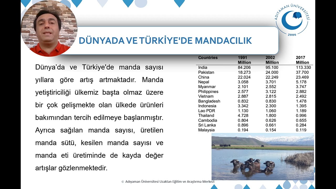 Manda Yetiştiriciliği - I