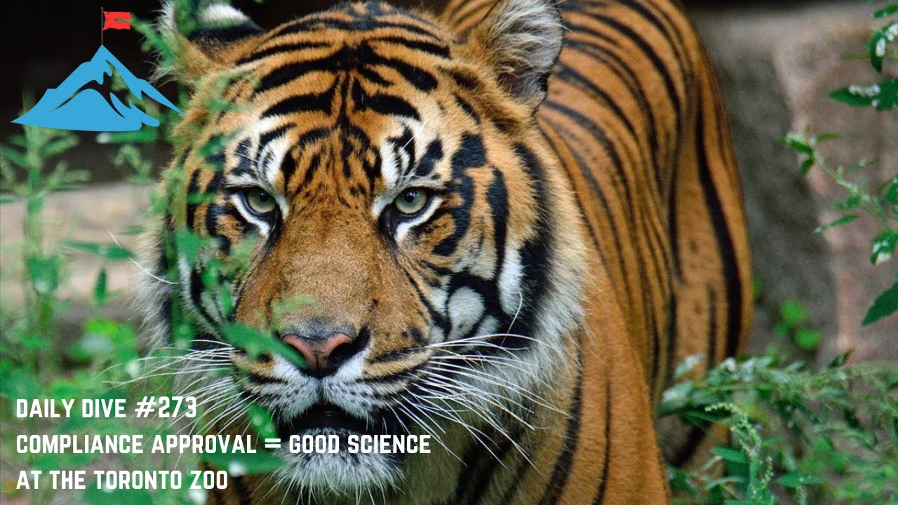 Daily Dive # 273 | Compliance Approval = Good Science at the Toronto Zoo