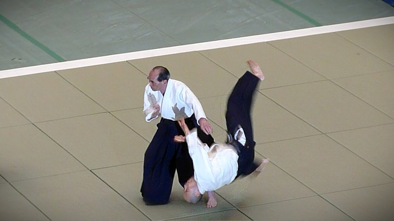 Aikido - Tada Hiroshi Shihan - 51st All Japan Aikido Demonstration 2013