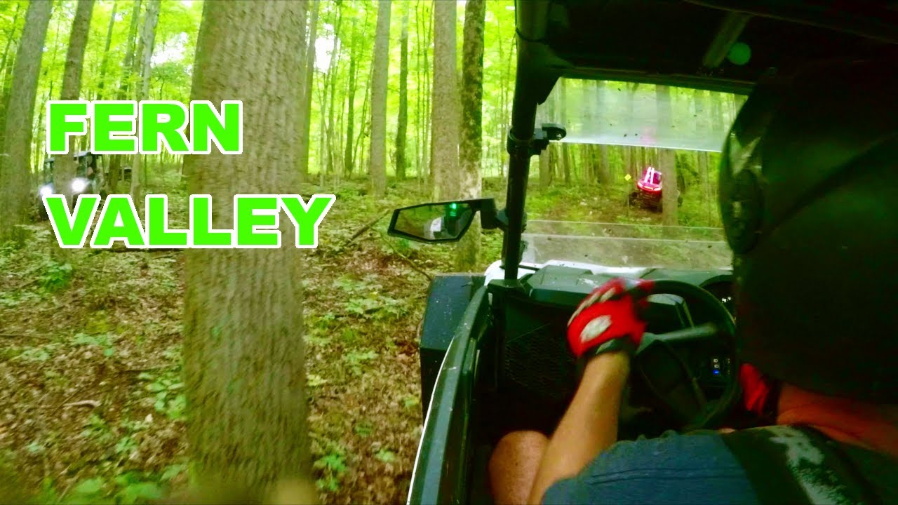 Ohio Perry State Forest - Fern Valley