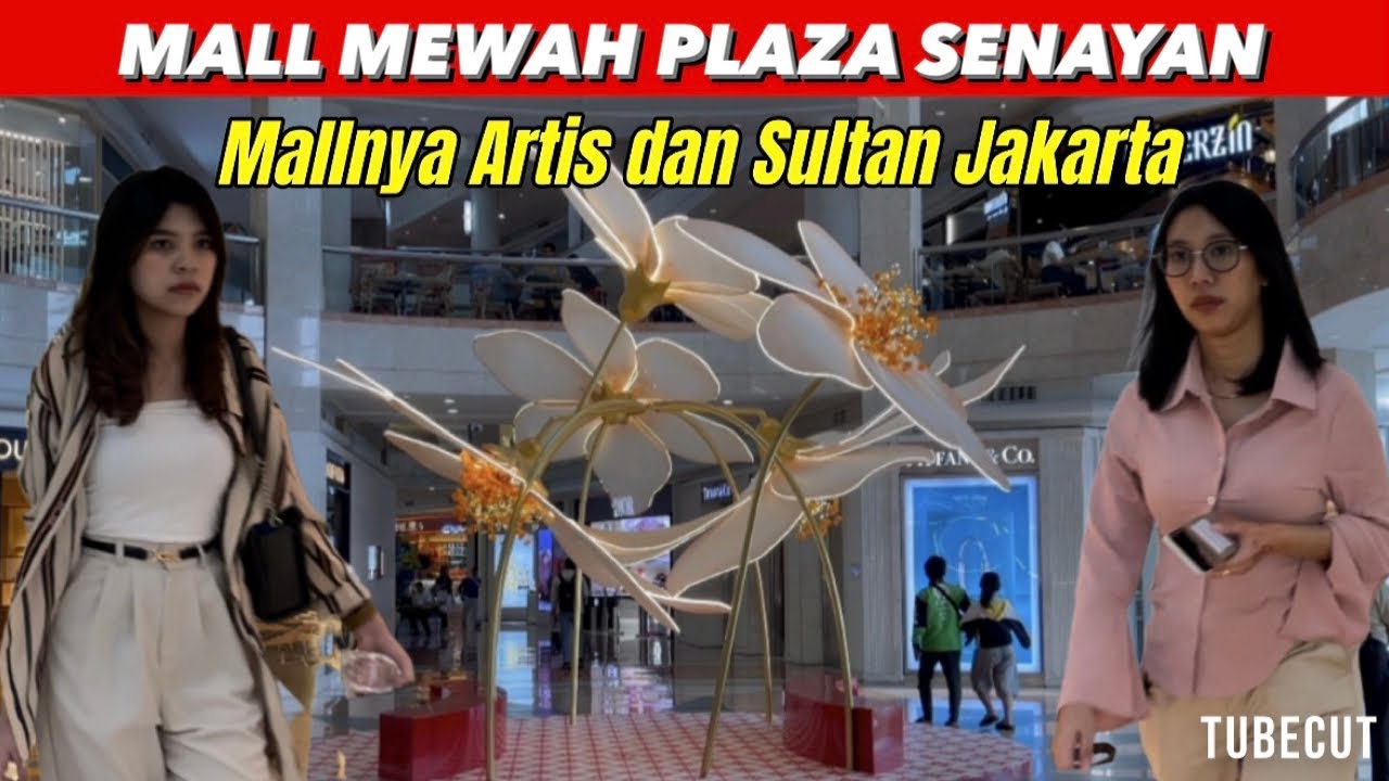 MALL PLAZA SENAYAN JAKARTA SITUASI TERKINI 2025