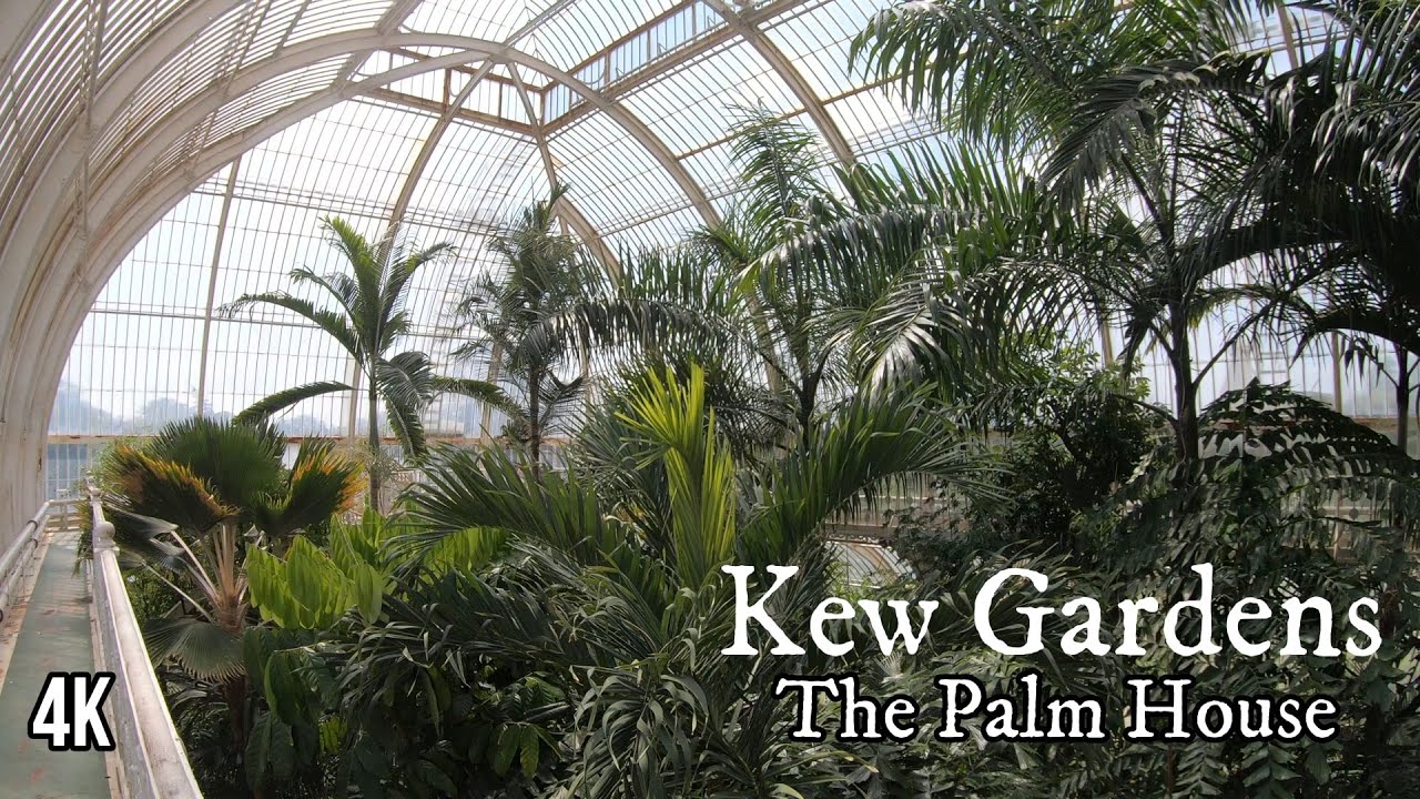 Kew Gardens - The Palm House (4K) Virtual Tour