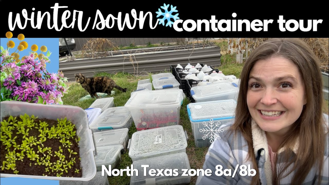 A tour of our winter sown plants in 2025 | Zone 8a/8b, North Texas