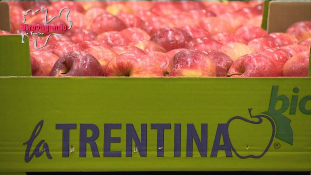 LA TRENTINA, IL GUSTO DELLA QUALITA’ E DELLA SALUBRITA’