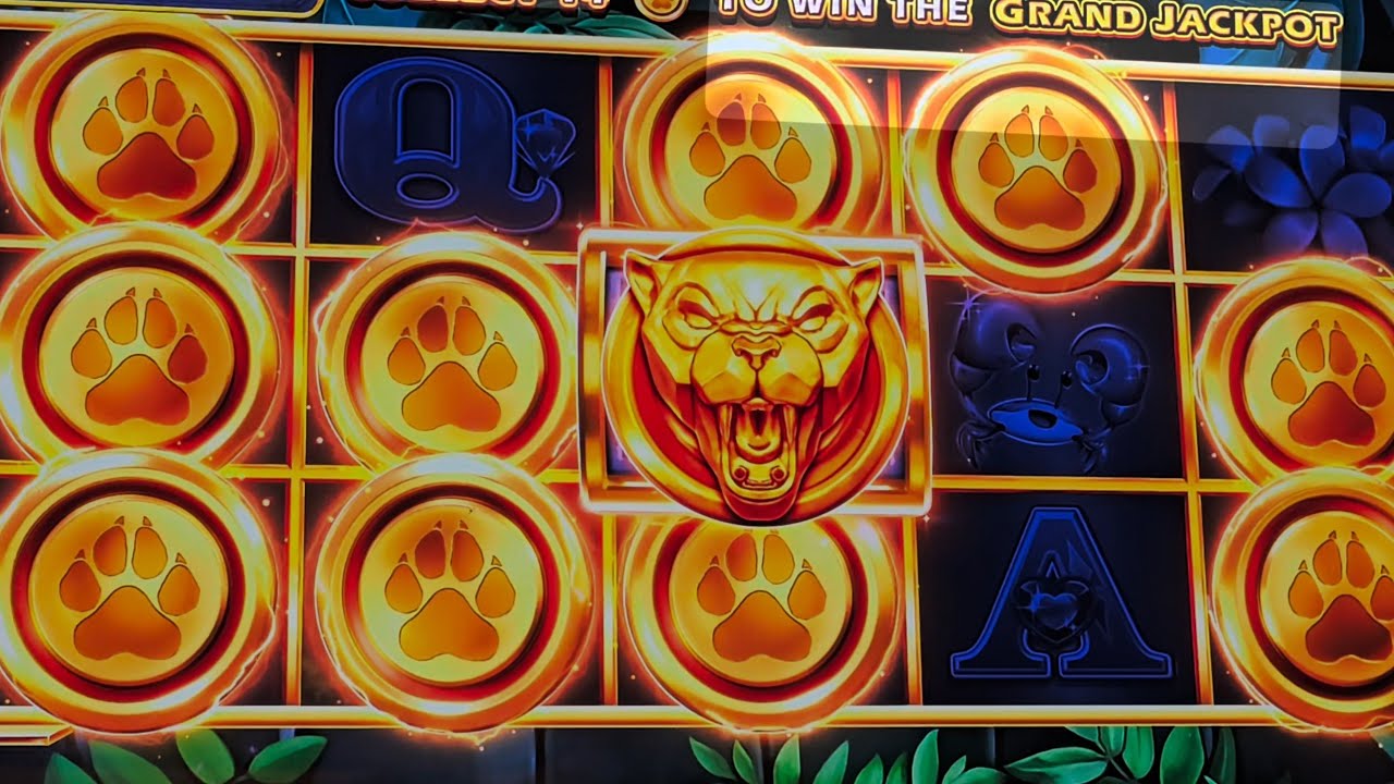 Best Method of Gambling at the Pokies Playing slots today at the pub casino max bets chasing grand