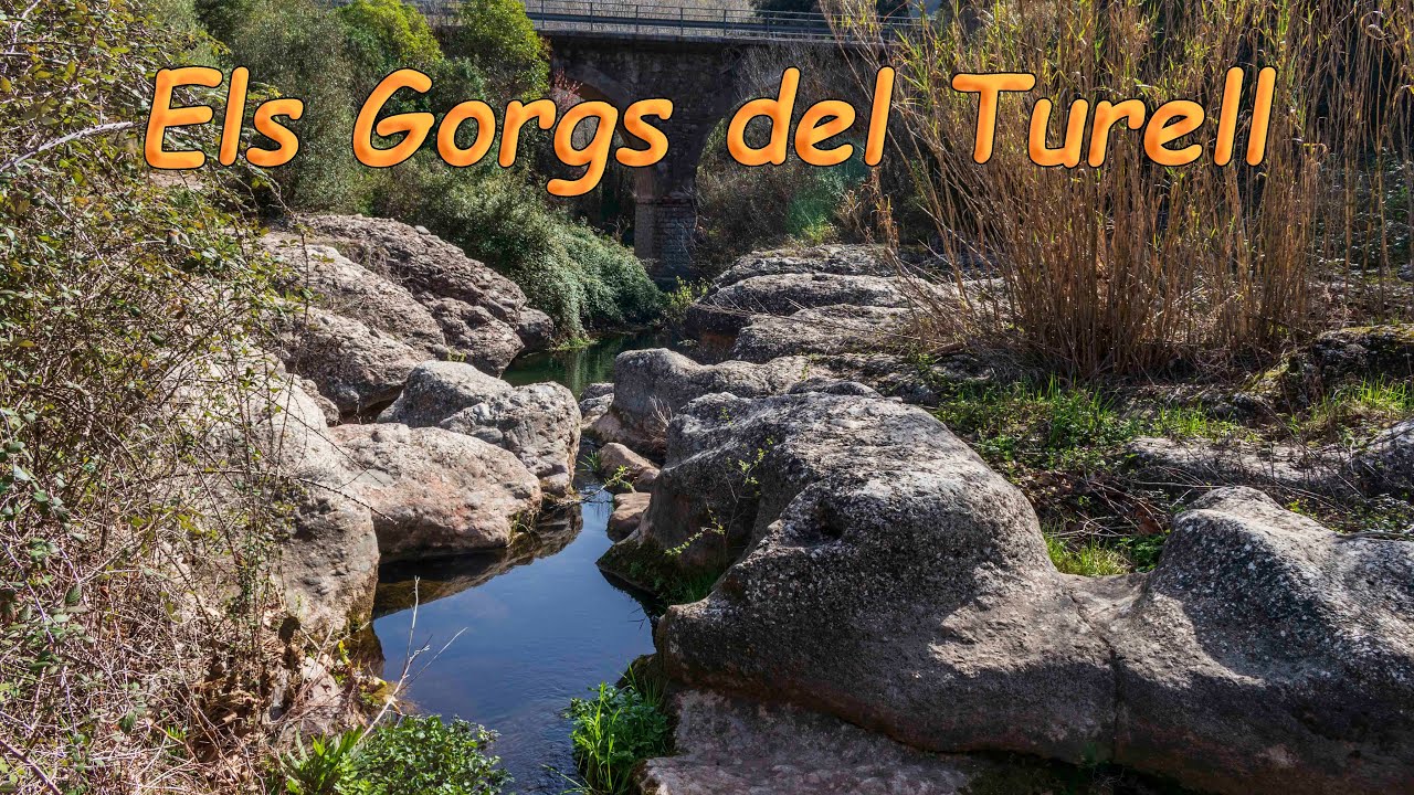 Els Gorgs del Turell