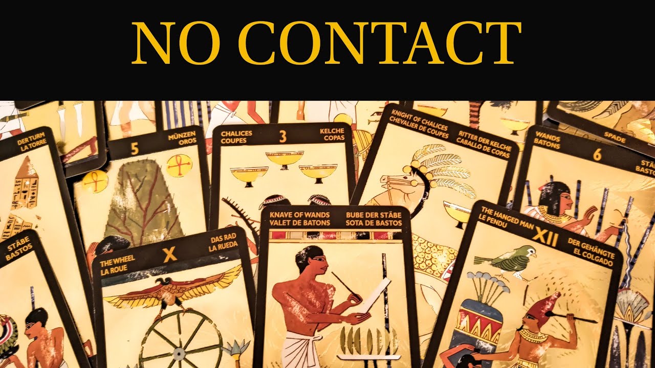PICK A CARD: NO CONTACT. WILL THEY COME BACK? WHEN? TAROT TIMELESS READING.