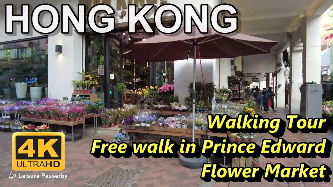 [4K] Hong Kong, Walking Tour free walk in Flower Market, Prince Edward .