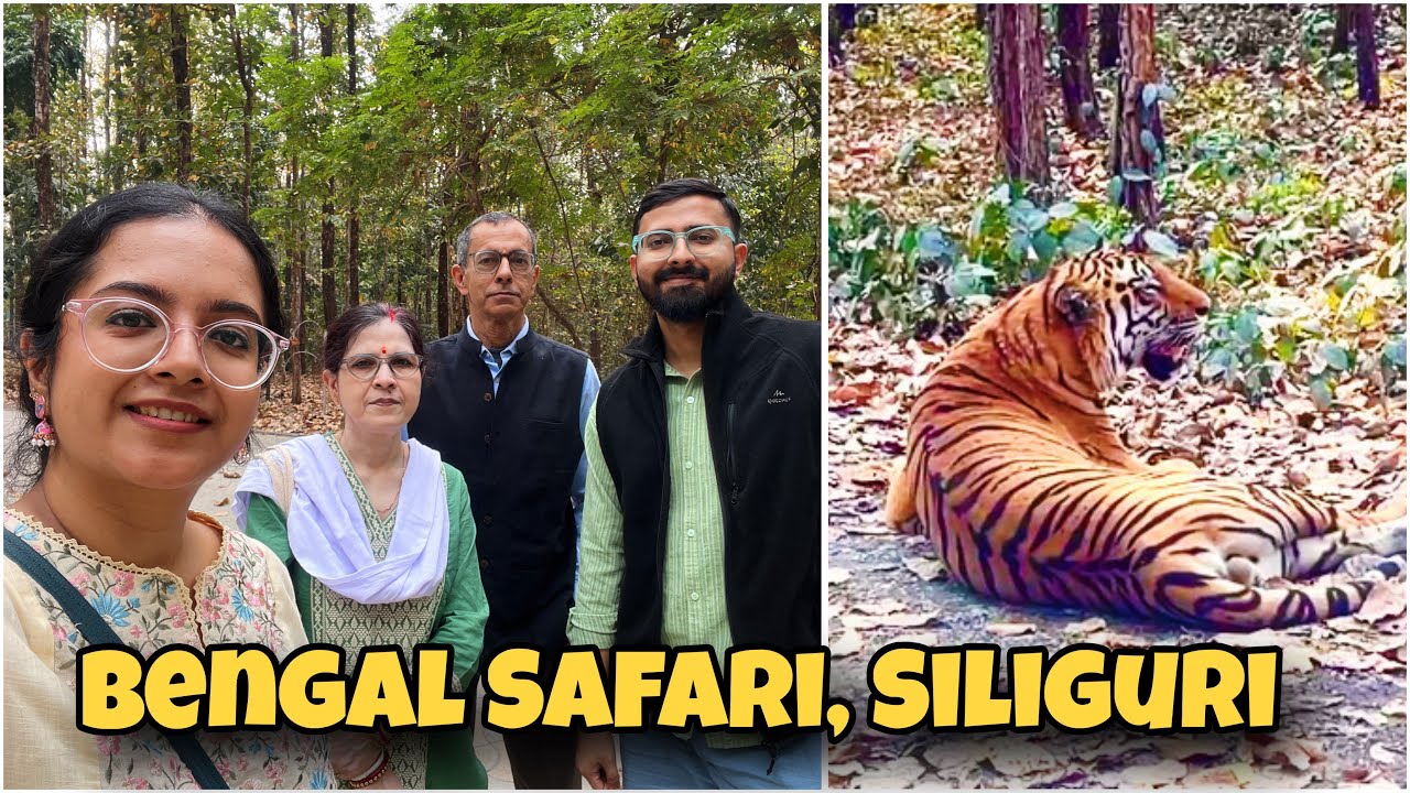 Одно из главных развлечений в Силигури — бенгальское сафари 🌿, наблюдение за королевскими бенгаль...