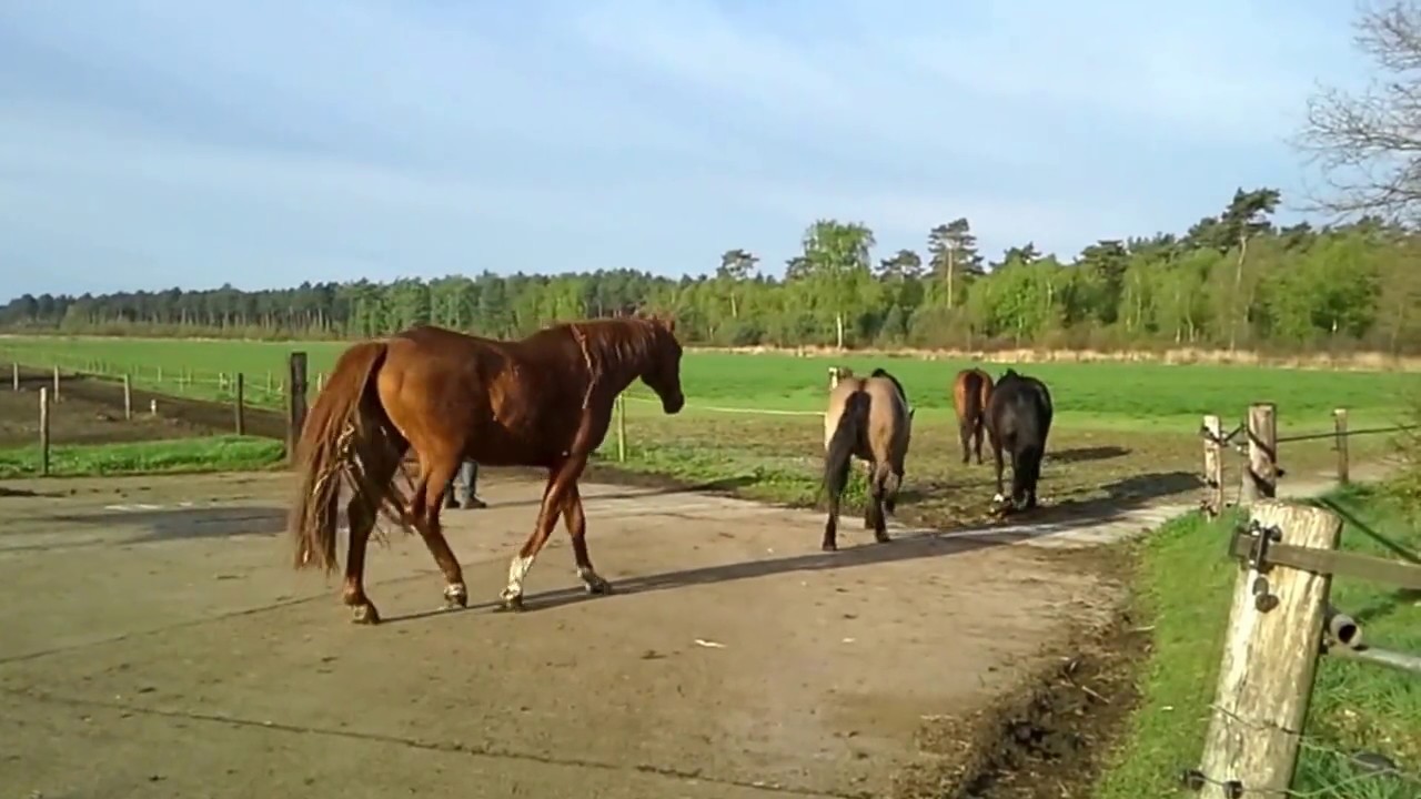 20170418 081346