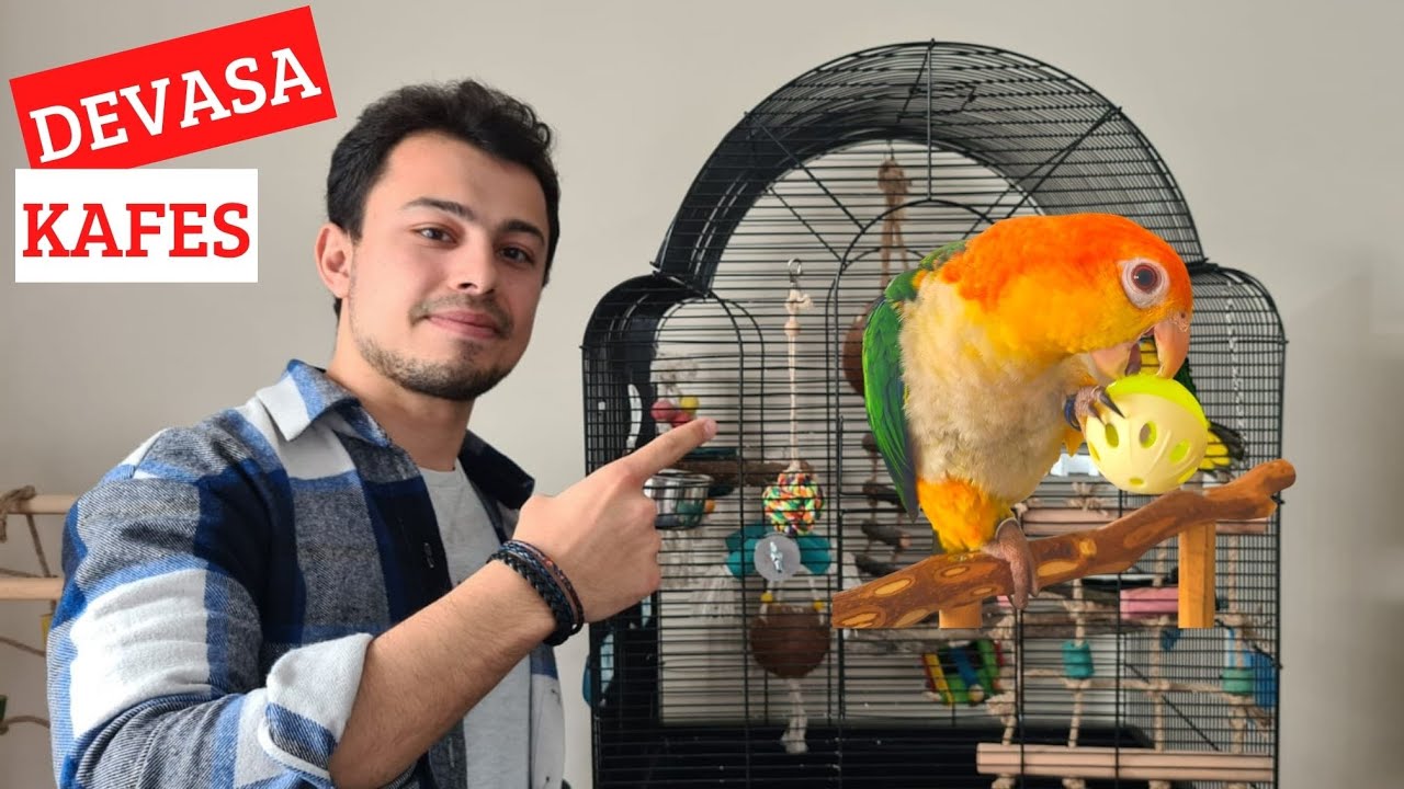 SARAY GİBİ KAFES! (YENİ OYUNCAKLAR!!)