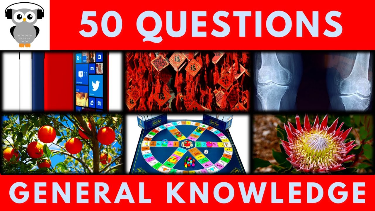 General Knowledge Quiz Trivia | Windows Phone, Chinese Zodiac, Trivial Pursuit, Protea Flowers