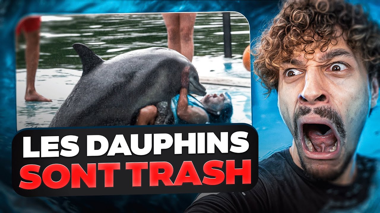 JE DECOUVRE LE COTE SOMBRE ET TRASH DES DAUPHINS (ces animaux sont dégueulasses)