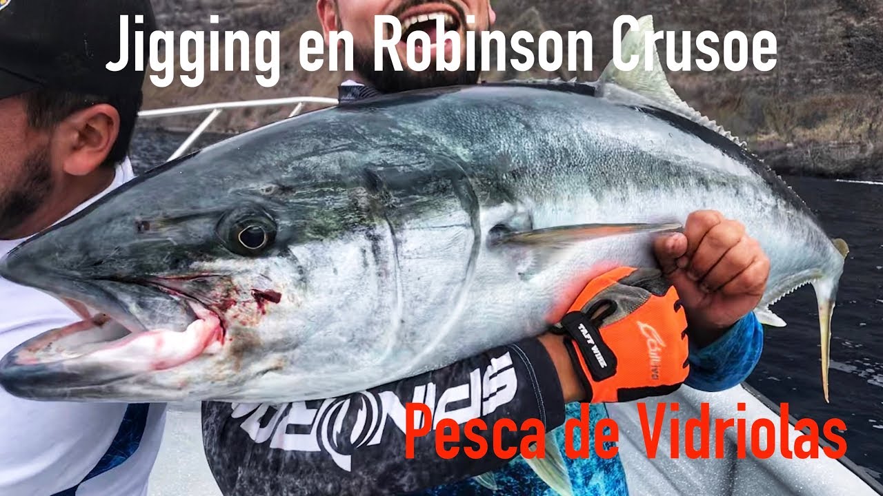 Jigging en Robinson Crusoe, Pesca de Vidiolas, Yellowtail Kingfish, Spinrock Chile