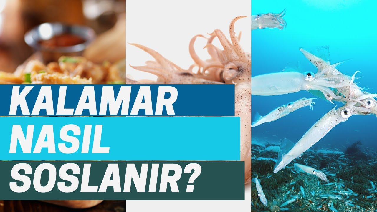 Chef Yunus Emre Yılmaz - Kalamar nasıl soslanır?