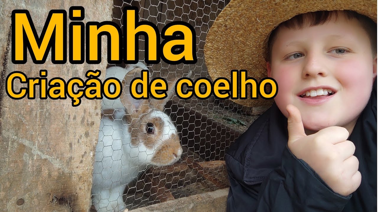 Minha criação de coelho.