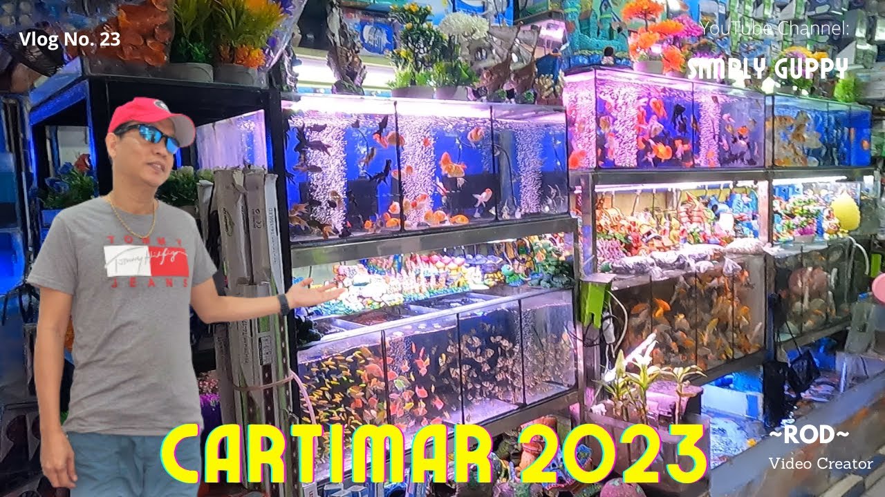 Cartimar Visit 2023 | Goldfish Quarantine and Lice Treatment | Vlog 23