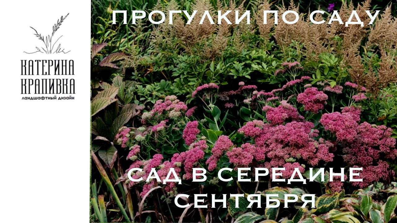 Проулки по саду. Мой сад в середине сентября