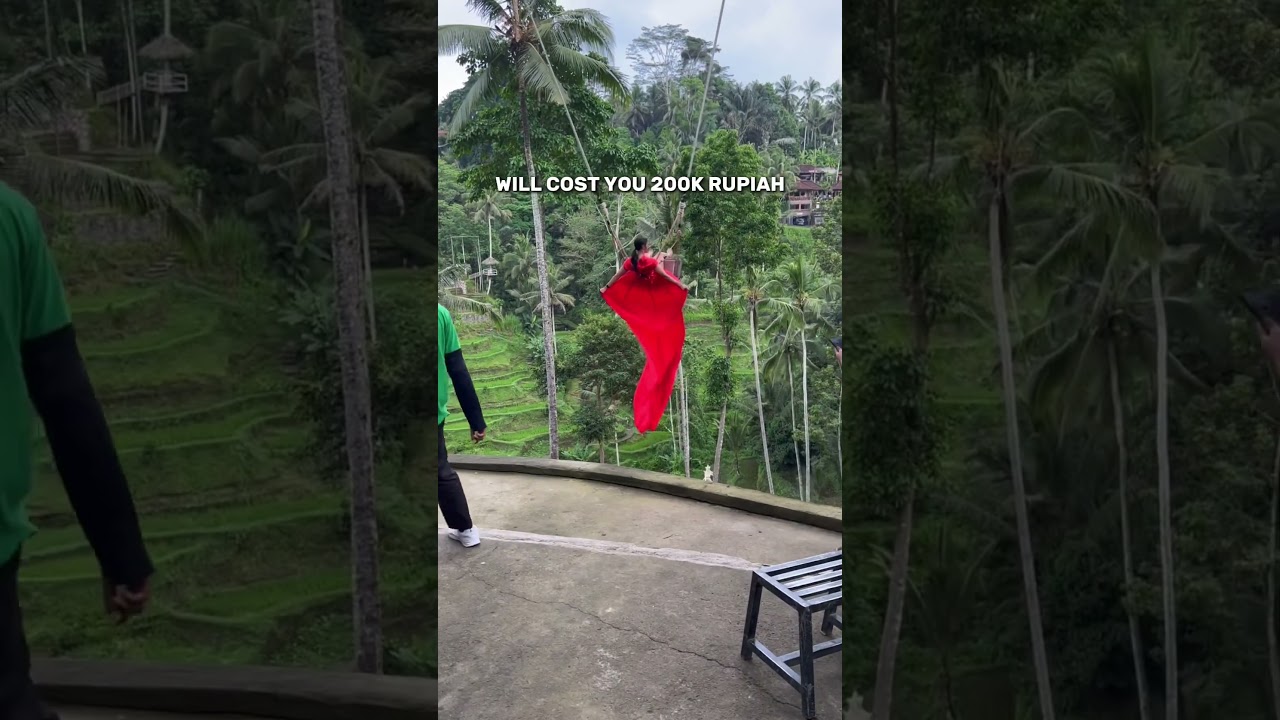 How to visit the Bali Swing - Tegalalang Rice Terrace #bali #baliguide #travelbali