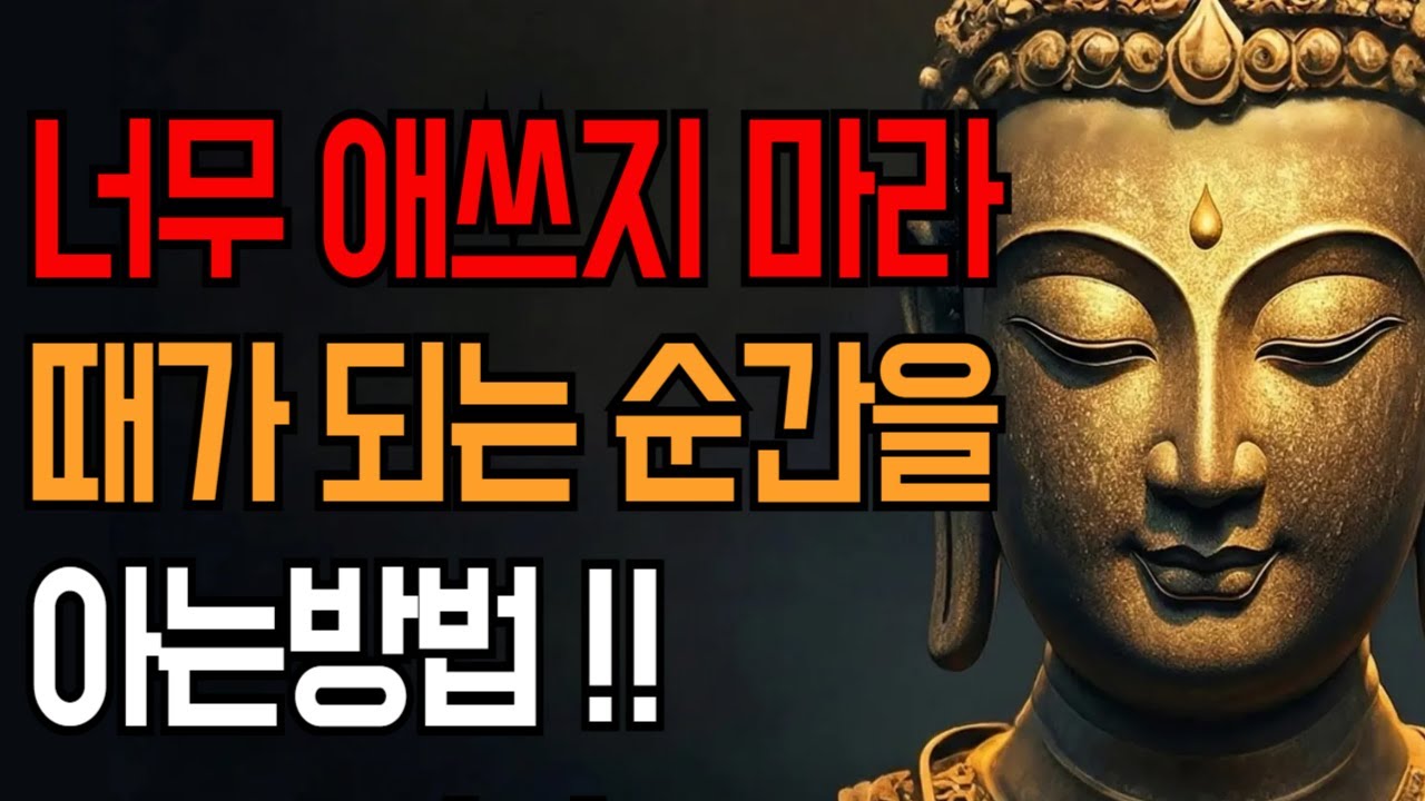 너무 애쓰지 마라, 이렇게 되는 순간 마음이 편안해집니다| 부처님지혜 | 부처님말씀 | 석가모니 가르침 | 인생조언 | 불교철학
